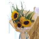 사파동255 이미지