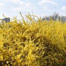 금호강3 이미지