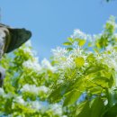 비산6동행정복지센터 이미지