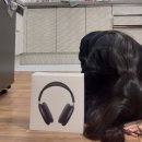 이안위드헬스 | [일상]2025-12