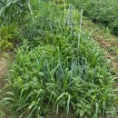 달이농장 이미지