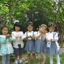 성모남해유치원 이미지