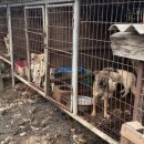 친한농장 이미지