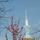 ２１세기텔레콤 이미지