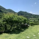 청평옆집언니 이미지