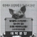 대한종합광고 이미지