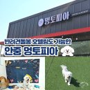 지에스25 평택로터리점 | 평택 애견 카페 안중 멍토피아 애견카페 후기 | 호텔링도 가능한 강아지가 더 좋아하는 공간