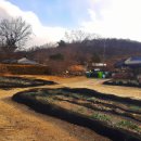 대신주말농장 정보화마을 이미지