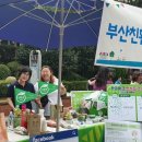 미더덕협동조합 이미지