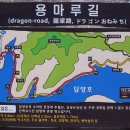 담양-04 Daum카페