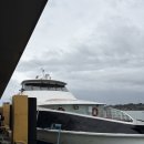 보홀에서 세부까지 단 2시간! 오션젯(OceanJet) 타고 느낀 리얼 후기 (좌석 꿀팁까지)