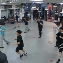 레드윙 복싱 이미지