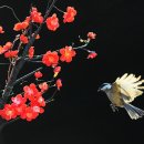 재롱이네 이미지