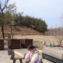 강릉청솔공원 | 강릉 뒷뜨루관광농원 아이랑가볼만한곳 먹이주기체험