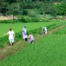 장덕2리 이미지