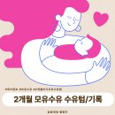 저8계콧9멍 | 2개월 모유수유 수유텀 횟수 먹놀잠 통잠 60~70일차 기록