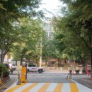 세탁소가는길 이미지