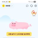 도니팜