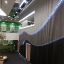 스포테라 이미지