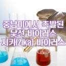 중남미에서 촉발된 낯선 바이러스, 지카바이러스 이미지