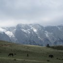 신사천성 이미지