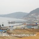 1월 여수마라톤대회 함께 갑시다~~~~ 이미지