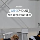 카페 몽몽 이미지