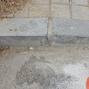 증평노인전문요양원 급식소 | 안양 주차장 차선규제봉 소량 대량설치 업체 비용