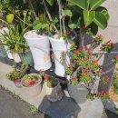 이정숙 꽃게장. 굴비랑 이미지