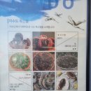 산돌아민박 | [여름 휴가] 거제 이수도 산만디민박 1박3식 여행후기