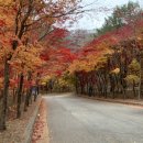 하늘정원장 네이버블로그
