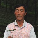 함양군산양산삼