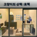 고양이의 산책:묘책 이미지