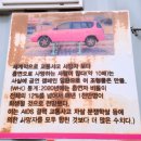 월곡페인트 이미지