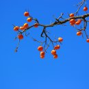 시골정취 이미지