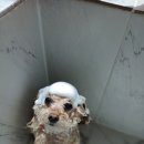 오늘의 개스트 이미지