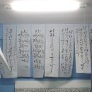캘리락