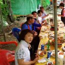 에코피아펜션 이미지