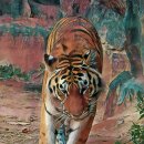 서울대공원 이미지