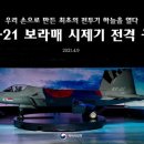 선진보라매