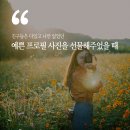 내 카메라에게 고마웠던 순간 5! 이미지