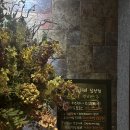 청담 | 울산 삼산동 타이 마사지 잘하는 곳 데이트 장소 청담더타이