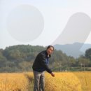 회룡포여울마을 이미지