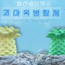 라티크 RATIQUE