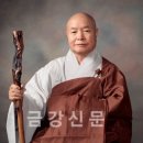 천진불 원담 진성 대종사 이미지