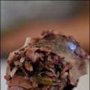 왕순대집 이미지