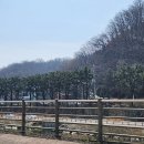 전주여행 뚜벅이 여행 일정 2박3일, 혼여행 전주 객사 맛집 투어