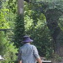 봉다리농장 이미지