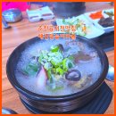 능이마을 | 춘천 공지천 벚꽃길에서 만난 보약 한 그릇, ‘해신탕 능이마을’ 능이마을탕 후기