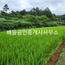 득량면사무소 이미지